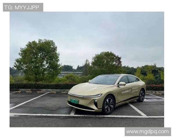 比亚迪汉与巴西足球明星携手共创绿色出行新篇章